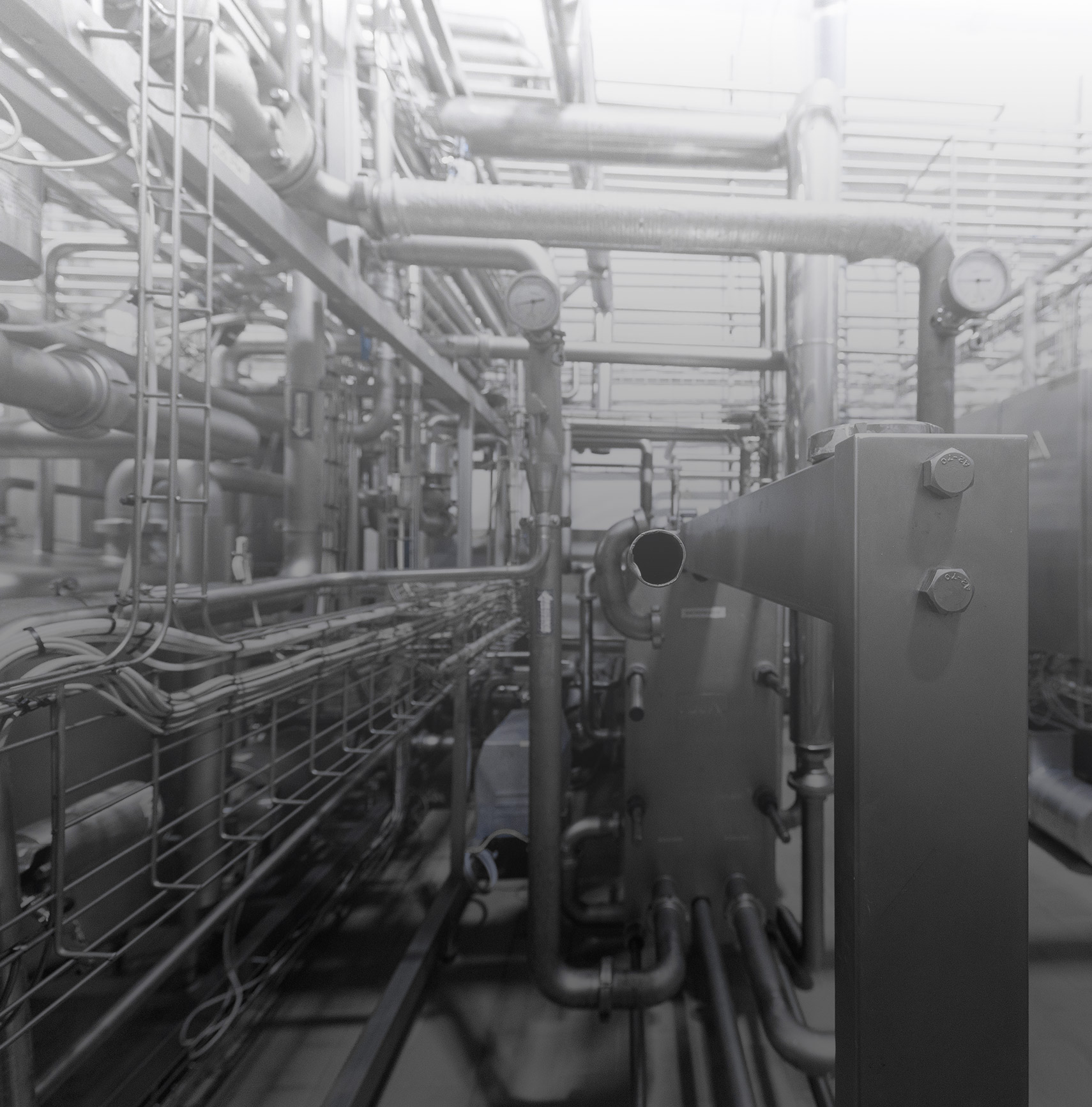 Excar (the wholly-owned parent company of Supaigretee) was established